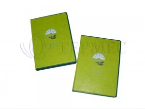 Нанесение логотипа