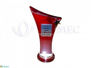 нанесение сублимации на шильд сувенира