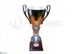 сублимационная печать на шильде кубка