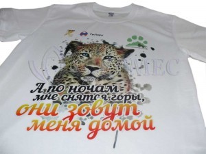 Печать логотипа на футболках