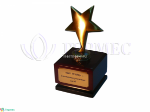 нанесение логотипа на наградную продукцию