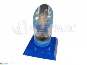 нанесение логотипа на наградную стеллу