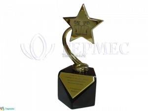 нанесение логотипа на стеллу