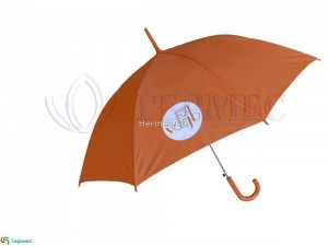 печать на зонте