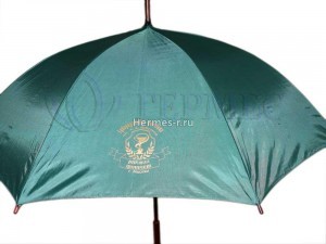 Печать на клин зелёного зонта. Печать золотом